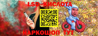 соль ск Сланцы