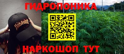 соль ск Сланцы