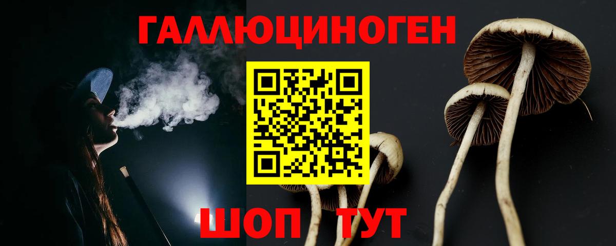 Галлюциногенные грибы Cubensis Печора